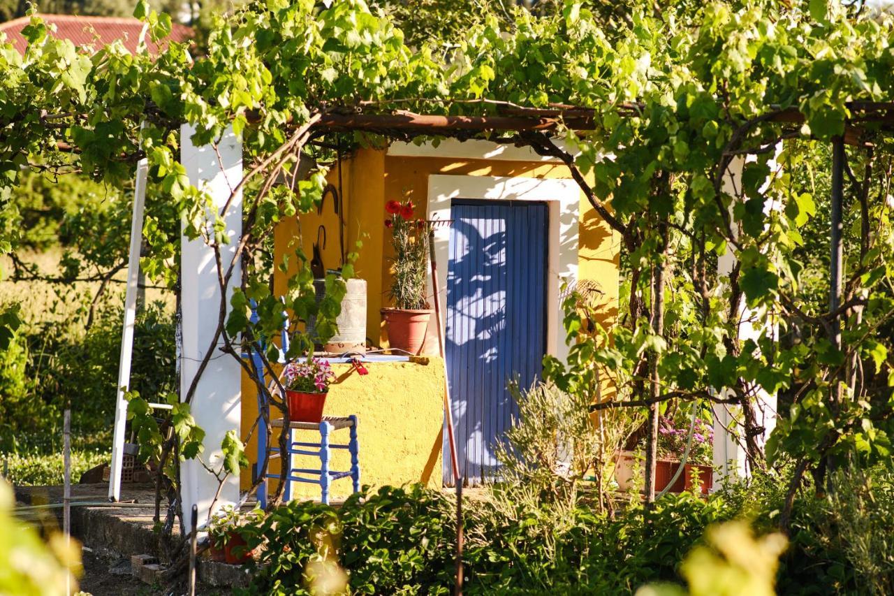 Villa Doreta روذا المظهر الخارجي الصورة