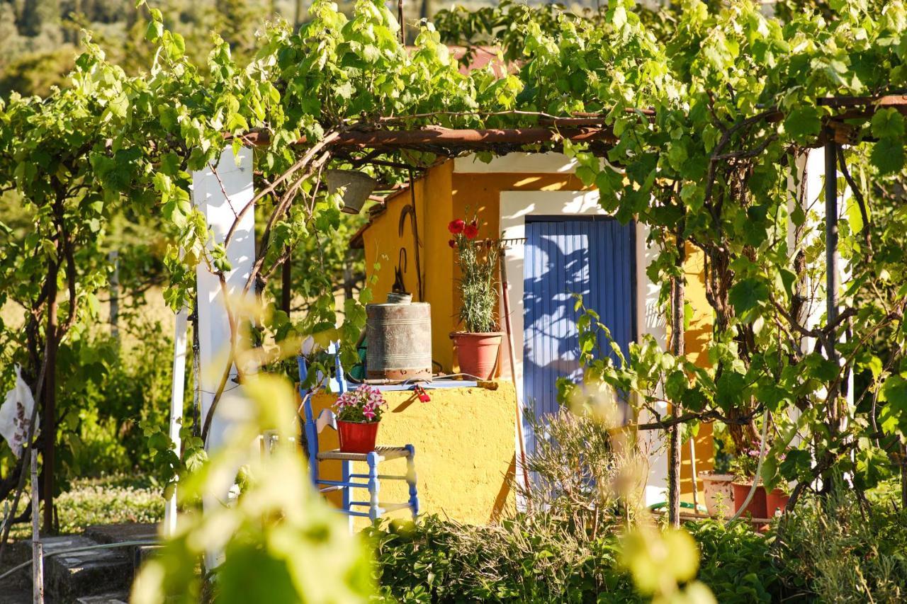 Villa Doreta روذا المظهر الخارجي الصورة