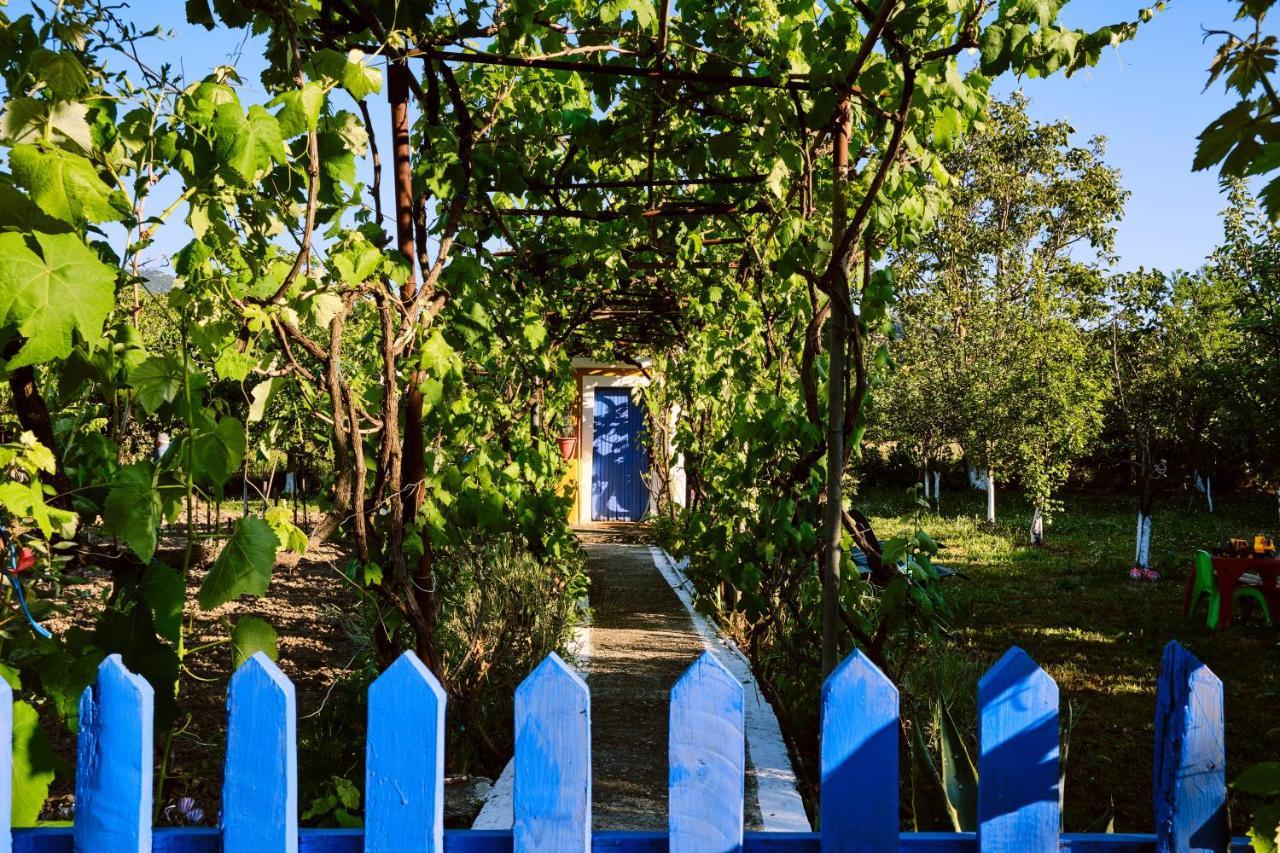 Villa Doreta روذا المظهر الخارجي الصورة